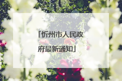 忻州市人民政府最新通知