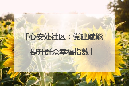 心安处社区：党建赋能 提升群众幸福指数