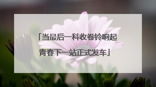 当最后一科收卷铃响起 青春下一站正式发车