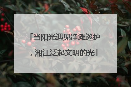 当阳光遇见净滩巡护，湘江泛起文明的光