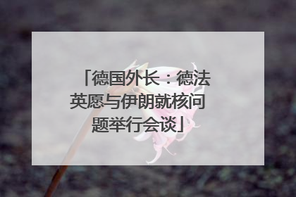 德国外长：德法英愿与伊朗就核问题举行会谈
