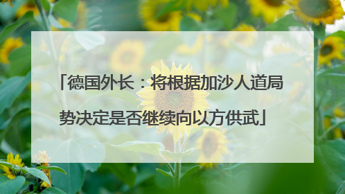 德国外长：将根据加沙人道局势决定是否继续向以方供武