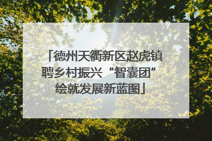 德州天衢新区赵虎镇聘乡村振兴“智囊团” 绘就发展新蓝图