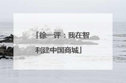 徐一评：我在智利建中国商城