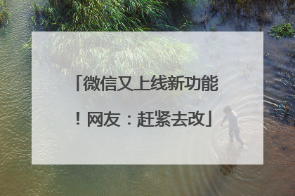 微信又上线新功能！网友：赶紧去改