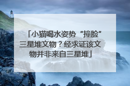小猫喝水姿势“撞脸”三星堆文物？经求证该文物并非来自三星堆