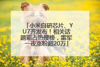 小米自研芯片、YU7齐发布！相关话题霸占热搜榜，雷军一夜涨粉超20万