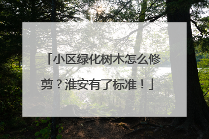 小区绿化树木怎么修剪？淮安有了标准！