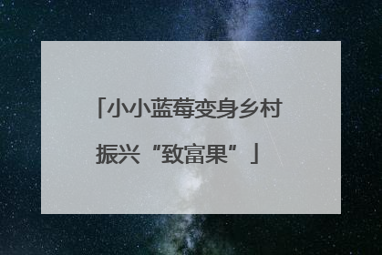 小小蓝莓变身乡村振兴“致富果”