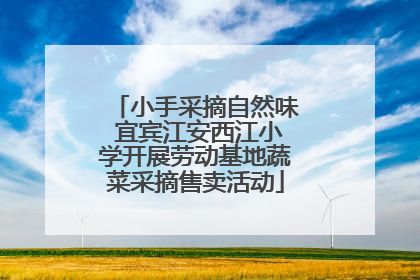 小手采摘自然味 宜宾江安西江小学开展劳动基地蔬菜采摘售卖活动