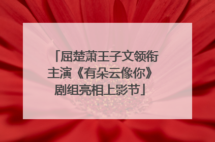 屈楚萧王子文领衔主演《有朵云像你》剧组亮相上影节