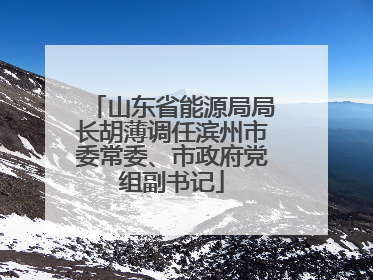 山东省能源局局长胡薄调任滨州市委常委、市政府党组副书记
