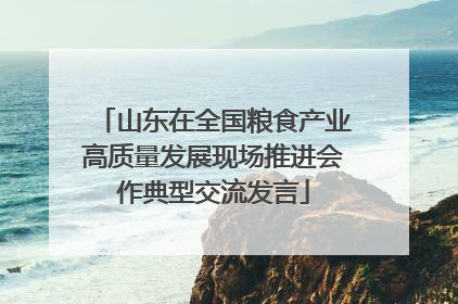 山东在全国粮食产业高质量发展现场推进会作典型交流发言