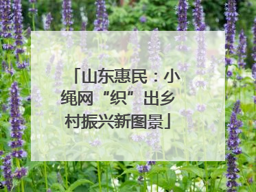 山东惠民：小绳网“织”出乡村振兴新图景