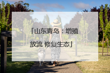 山东青岛：增殖放流 修复生态