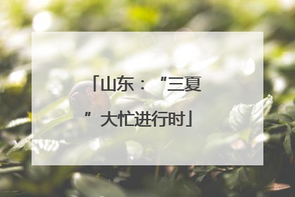 山东：“三夏”大忙进行时
