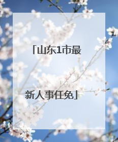 山东1市最新人事任免