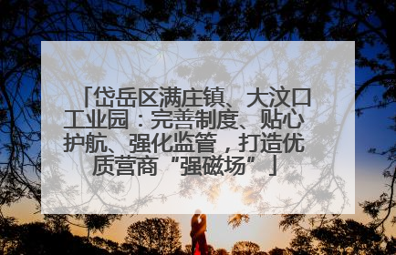 岱岳区满庄镇、大汶口工业园：完善制度、贴心护航、强化监管，打造优质营商“强磁场”