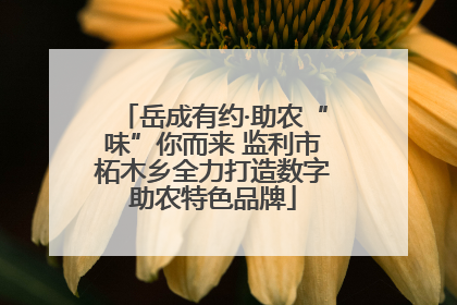 岳成有约·助农“味”你而来 监利市柘木乡全力打造数字助农特色品牌
