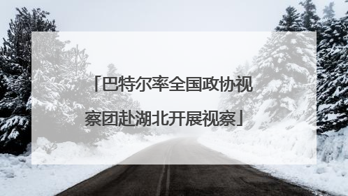 巴特尔率全国政协视察团赴湖北开展视察