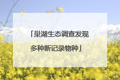 巢湖生态调查发现多种新记录物种