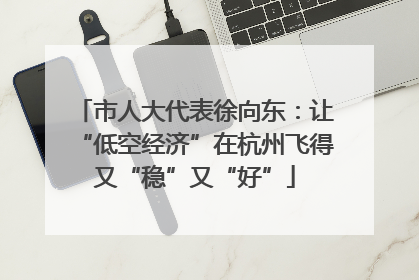 市人大代表徐向东：让“低空经济”在杭州飞得又“稳”又“好”