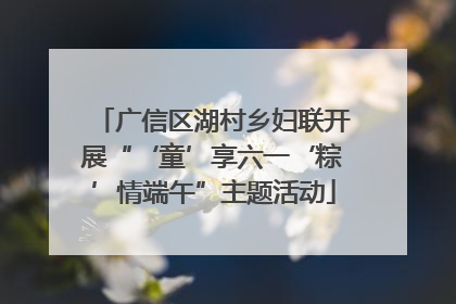 广信区湖村乡妇联开展“‘童’享六一‘粽’情端午”主题活动