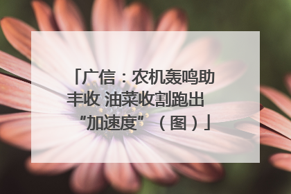 广信：农机轰鸣助丰收 油菜收割跑出“加速度”（图）