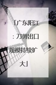 广东阳江：刀剪出口规模持续扩大