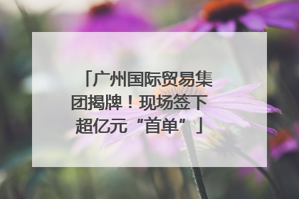 广州国际贸易集团揭牌！现场签下超亿元“首单”