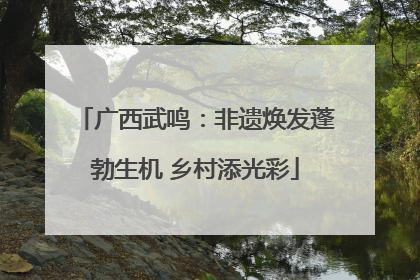 广西武鸣：非遗焕发蓬勃生机 乡村添光彩