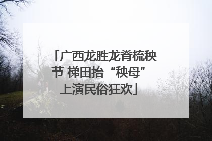 广西龙胜龙脊梳秧节 梯田抬“秧母”上演民俗狂欢