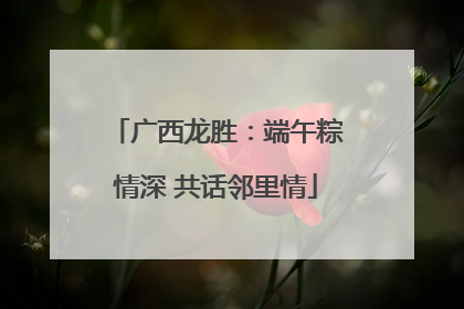 广西龙胜：端午粽情深 共话邻里情