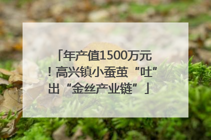 年产值1500万元！高兴镇小蚕茧“吐”出“金丝产业链”