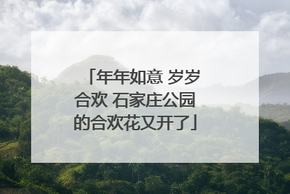 年年如意 岁岁合欢 石家庄公园的合欢花又开了