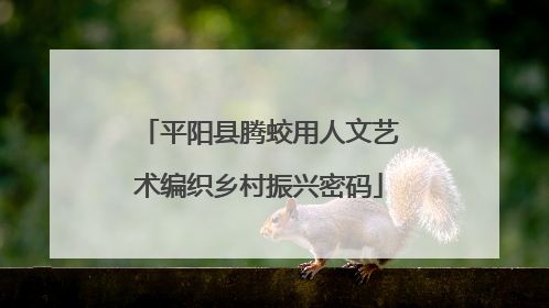 平阳县腾蛟用人文艺术编织乡村振兴密码
