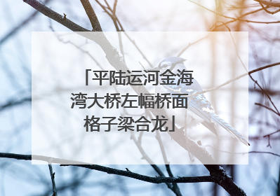 平陆运河金海湾大桥左幅桥面格子梁合龙