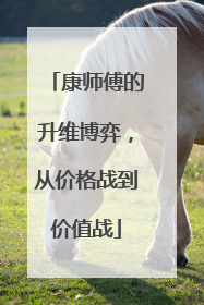 康师傅的升维博弈，从价格战到价值战