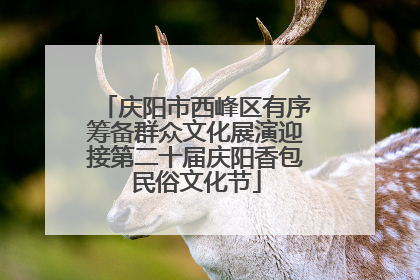 庆阳市西峰区有序筹备群众文化展演迎接第二十届庆阳香包民俗文化节