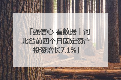 强信心 看数据丨河北省前四个月固定资产投资增长7.1%