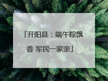 开阳县：端午粽飘香 军民一家亲
