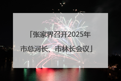 张家界召开2025年市总河长、市林长会议