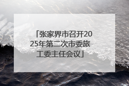 张家界市召开2025年第二次市委旅工委主任会议