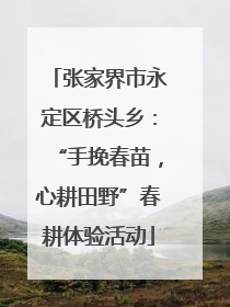 张家界市永定区桥头乡：“手挽春苗，心耕田野”春耕体验活动