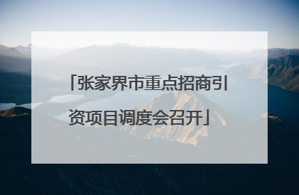 张家界市重点招商引资项目调度会召开