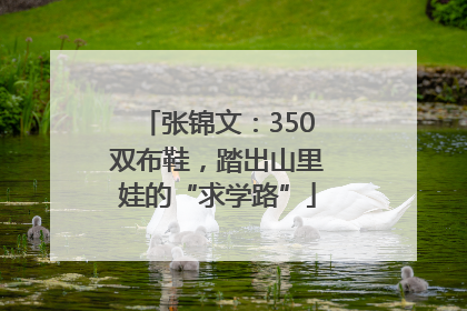 张锦文：350双布鞋，踏出山里娃的“求学路”