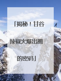 揭秘！甘谷辣椒火爆出圈的密码