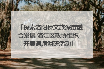 探索洛阳桥文旅深度融合发展 洛江区政协组织开展课题调研活动