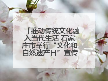 推动传统文化融入当代生活 石家庄市举行“文化和自然遗产日”宣传展示活动