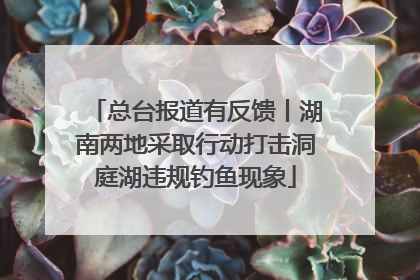 总台报道有反馈丨湖南两地采取行动打击洞庭湖违规钓鱼现象